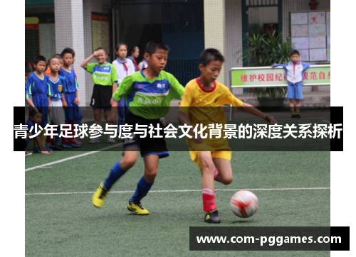 青少年足球参与度与社会文化背景的深度关系探析